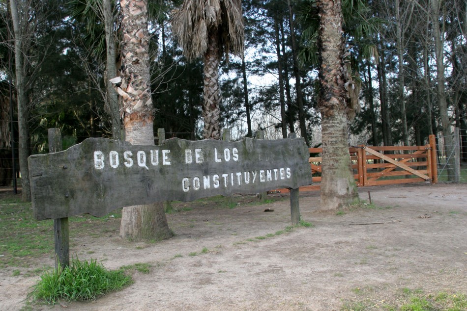 35969 | Bosque de los Constituyentes - Dir. Gral. de Comunicación Social (Marcelo Beltrame)