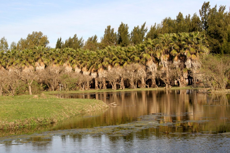 35970 | Bosque de los Constituyentes - Dir. Gral. de Comunicación Social (Marcelo Beltrame)