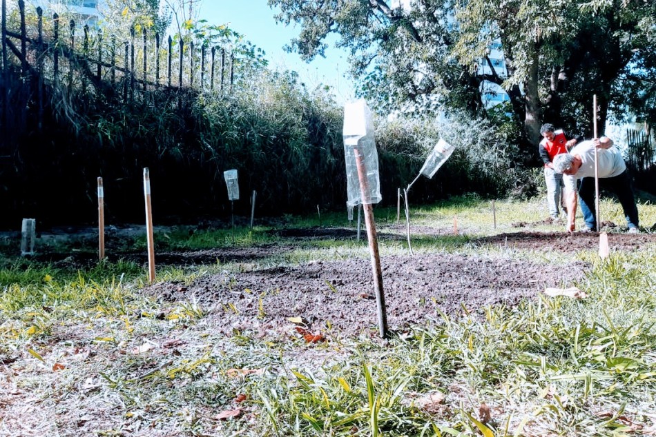 255112 | Talleres  para las personas que se encuentran en los refugios municipales - Sec. de Cultura y Educación