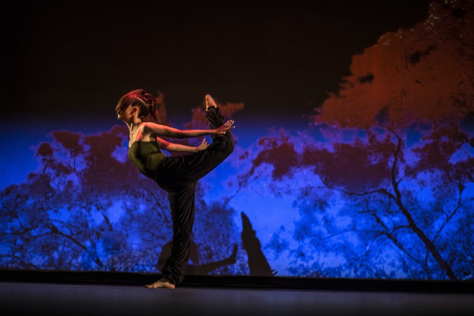 285803 | ¡Danza! -