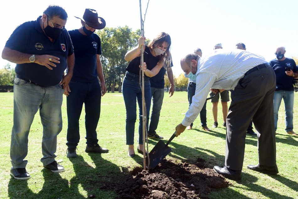 304419 |  - Silvio Moriconi