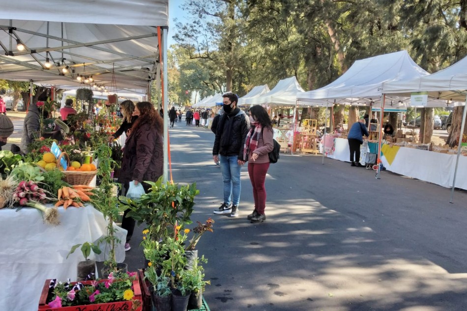 329491 |  - Desarrollo Humano y Hábitat
