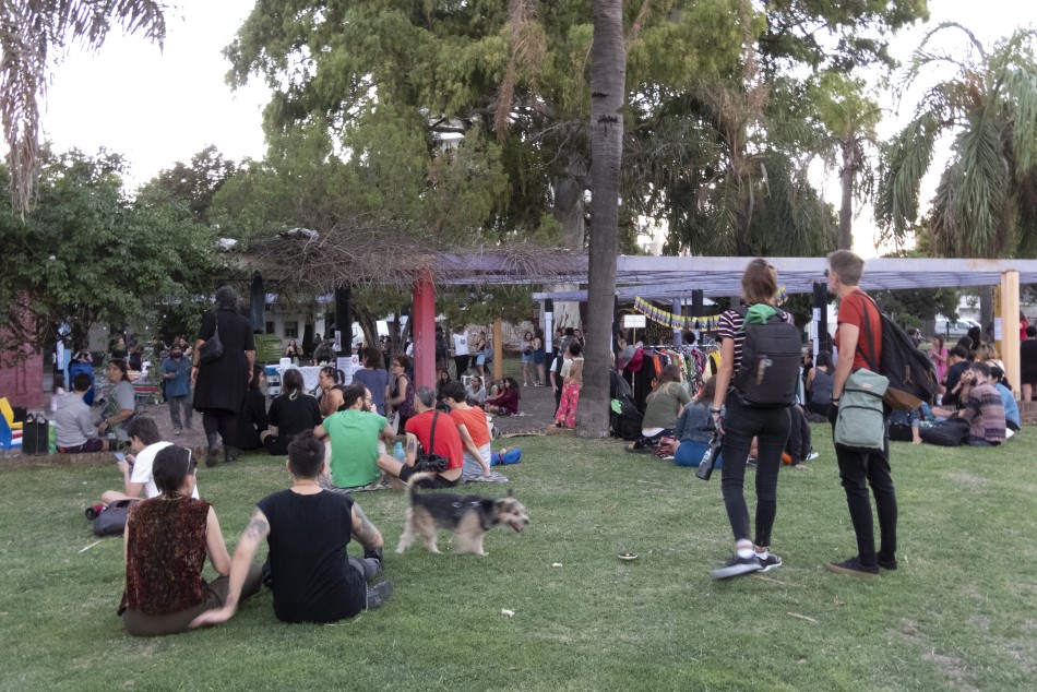 350212 |  - Claudia Cagnone