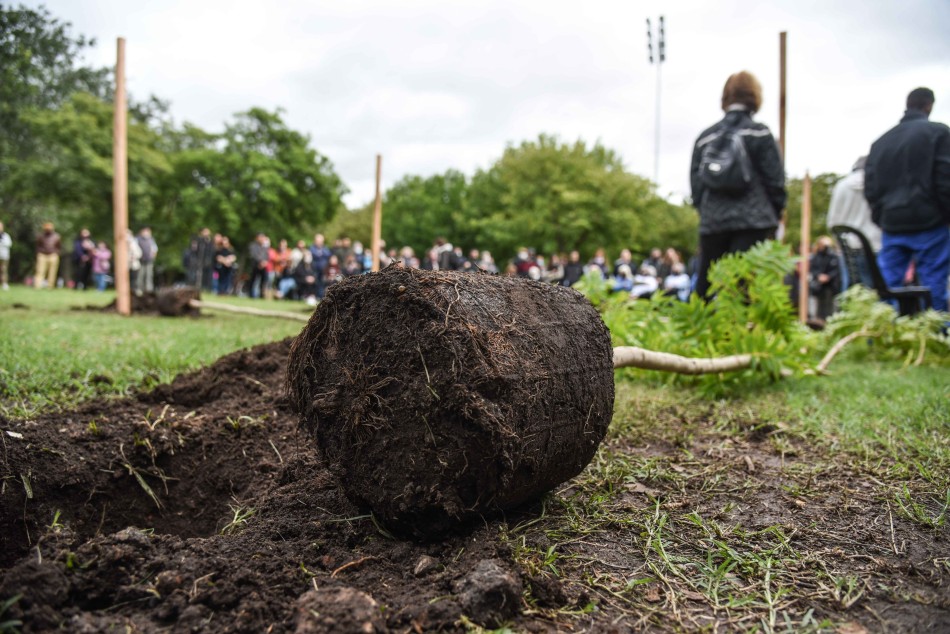 351702 | Ceremonia de plantación de arboles - Subsecretaría de Comunicación Social (Jonatan Bustos)