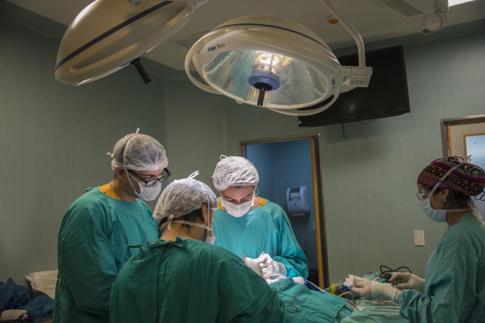 366445 | Donación de órganos  - Sec. de Salud Pública (Guillermo Fernández)