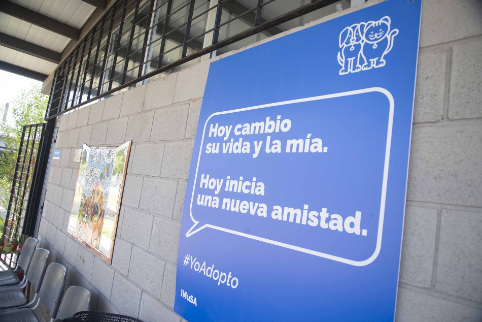 439962 | Visita el CAAM - Sec. de Salud Pública (Guillermo Fernández)