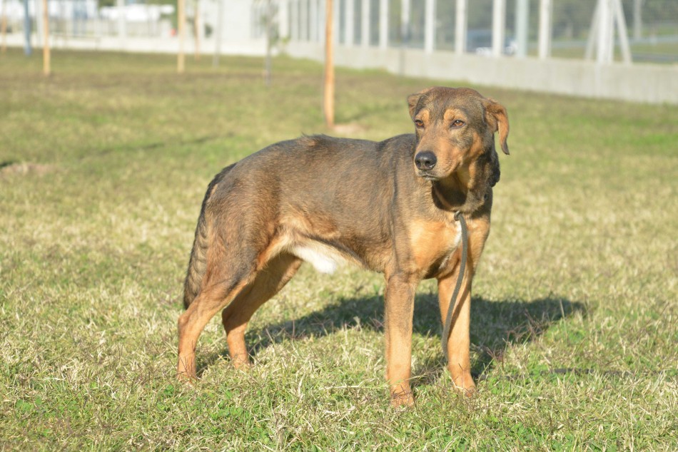 439963 | Visita el CAAM - Sec. de Salud Pública (Guillermo Fernández)