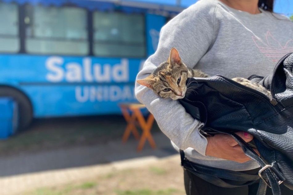 452534 |  - Municipalidad de Rosario (Sergio Flores)