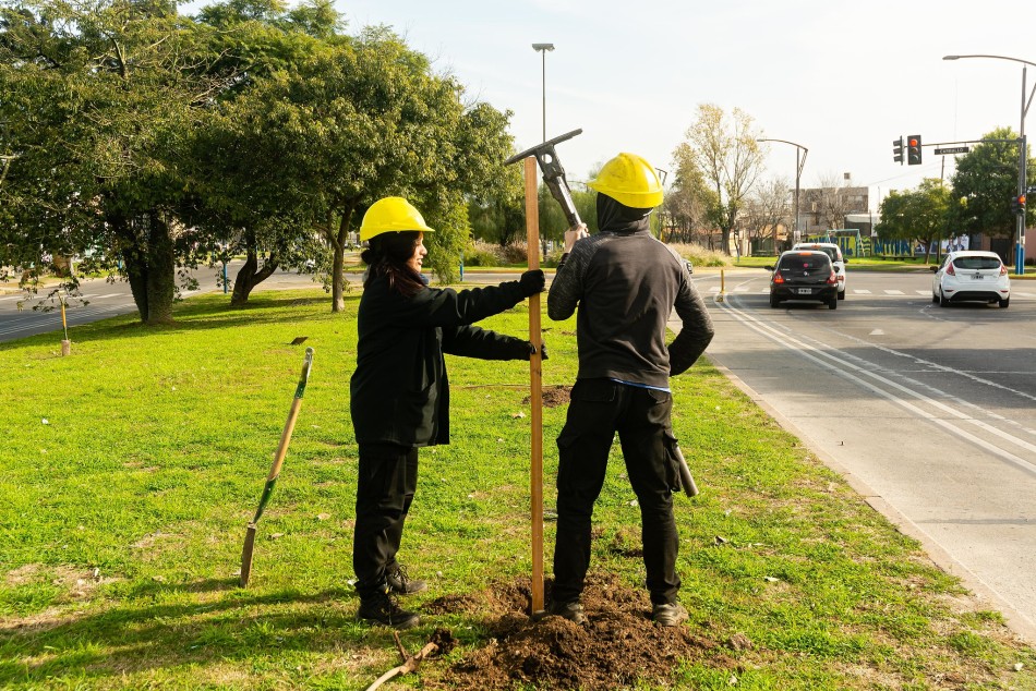 500524 | El municipio avanza con la plantación de árboles (archivo) - Secretaría de Ambiente y Espacio Público (Juan Pablo Allegue)