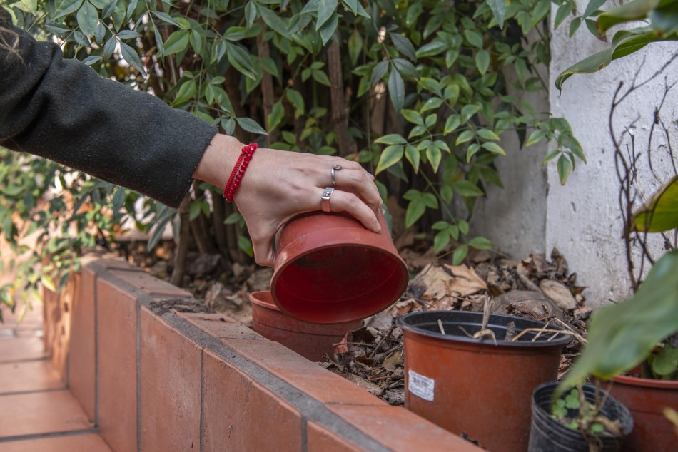 513781 | Campaña dengue - Subsecretaría de Comunicación Social (Silvio Moriconi)
