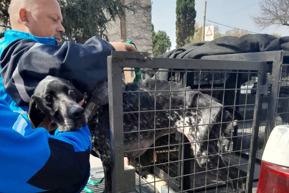 521290 |  - Secretaría de Control