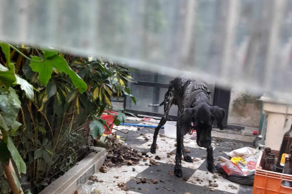 521291 |  - Secretaría de Control