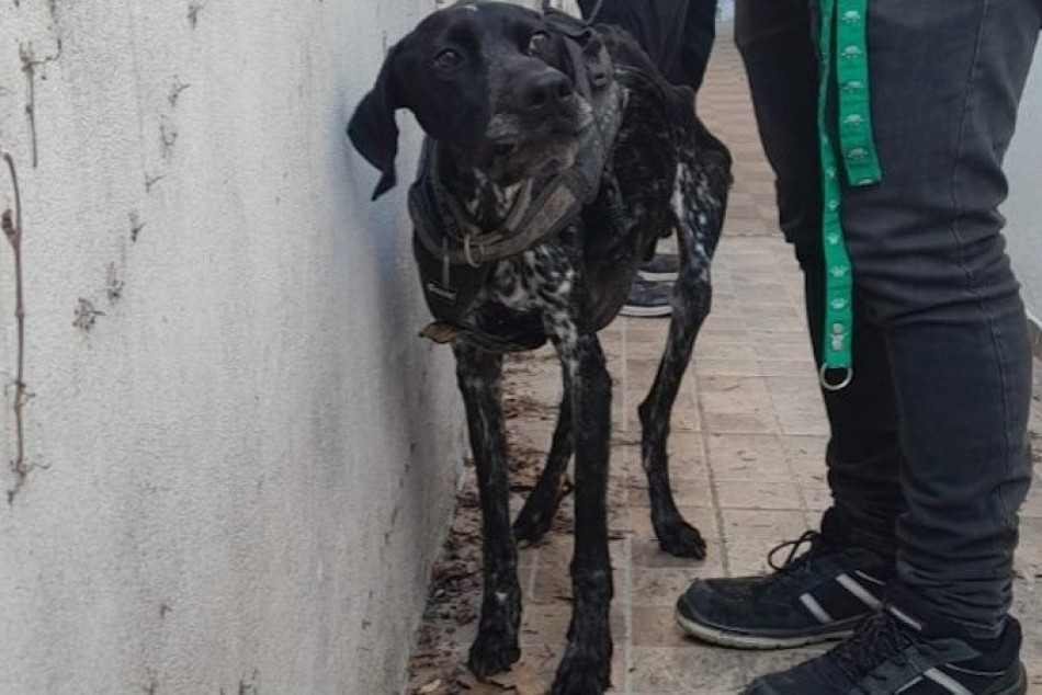 521292 |  - Secretaría de Control