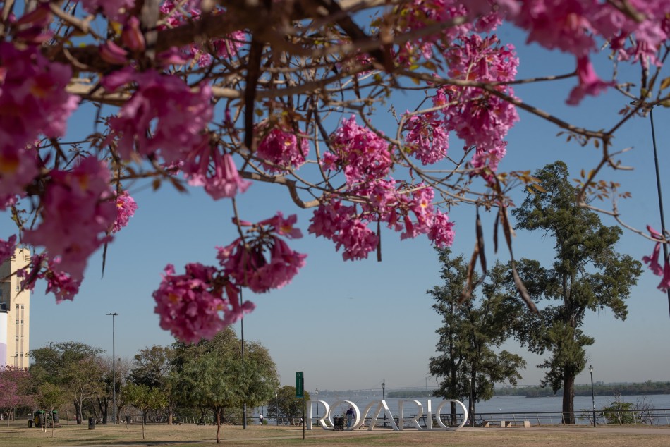 528048 | Gran cantidad de turistas visitó la ciudad este fin de semana largo - Ente Turístico Rosario