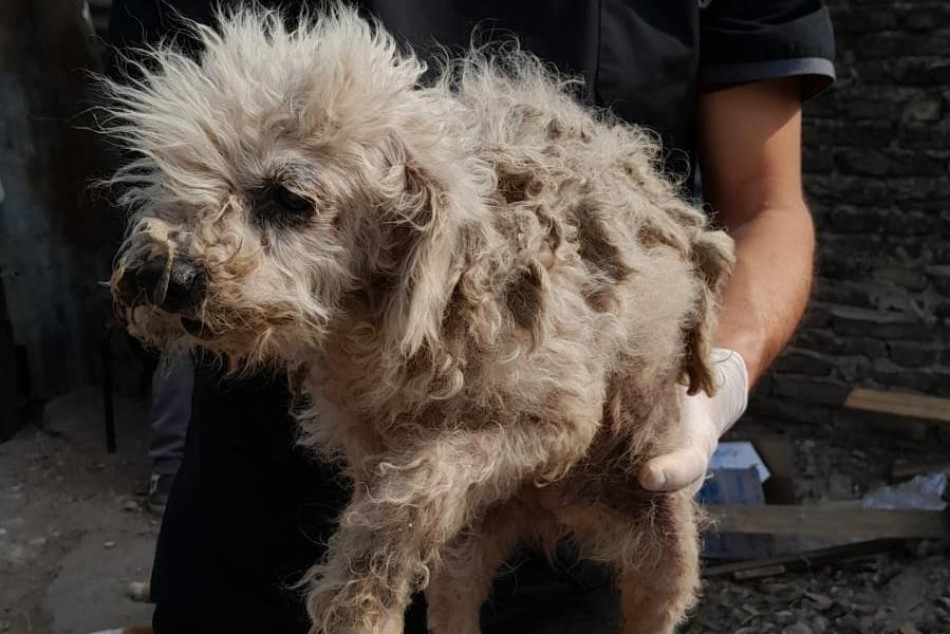 549444 |  - Secretaría de Control