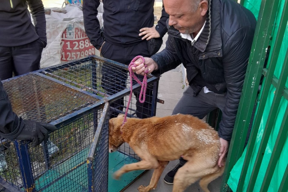 549446 |  - Secretaría de Control