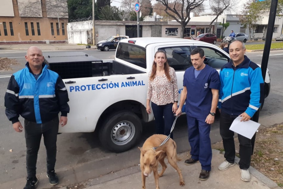 549447 |  - Secretaría de Control