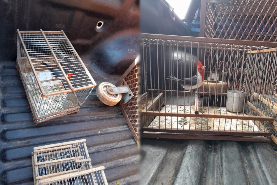 549450 |  - Secretaría de Control