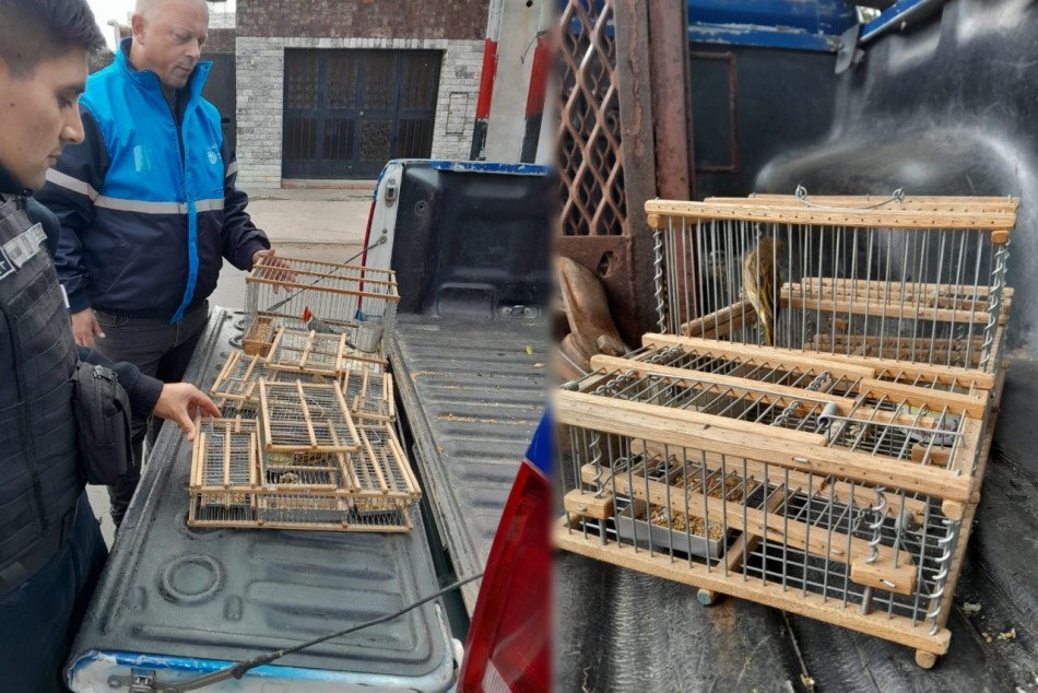 549451 |  - Secretaría de Control