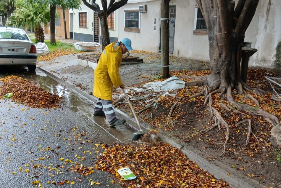 553123 | Temporal miércoles 5 de febrero 2025 - Municipalidad de Rosario
