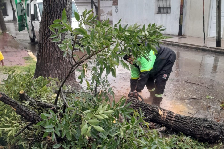 565408 | Av. Bermúdez y Láinez - Dirección de Protección Civil (Germán Carbajales)