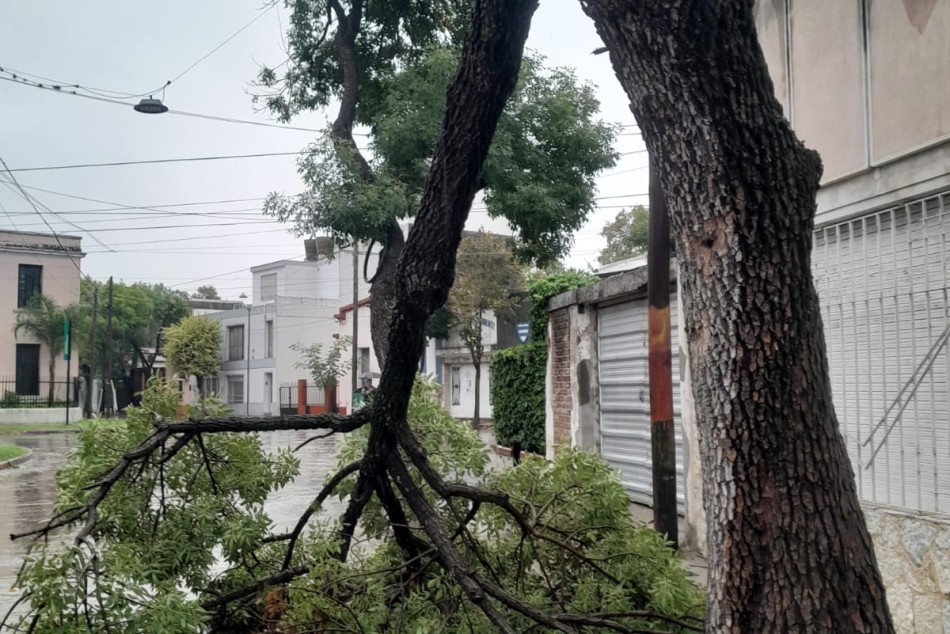 565409 | Damas Mendocinas 252 - Dirección de Protección Civil (Germán Carbajales)