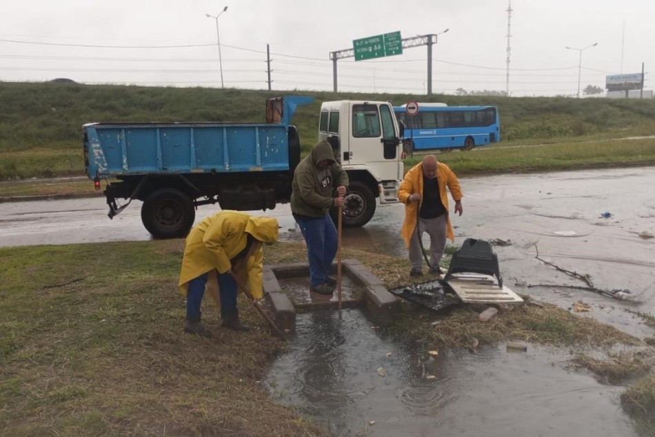 565442 |  - Secretaría de Ambiente y Espacio Público