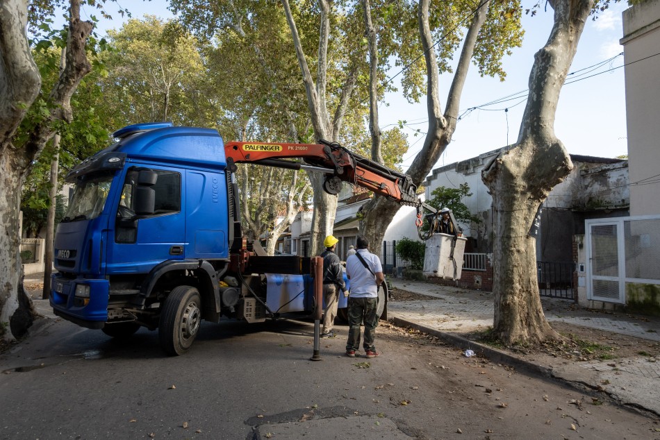 567270 | El municipio realiza trabajos de mantenimiento del arbolado público en distintos sectores de la ciu - Secretaría de Ambiente y Espacio Público (archivo)