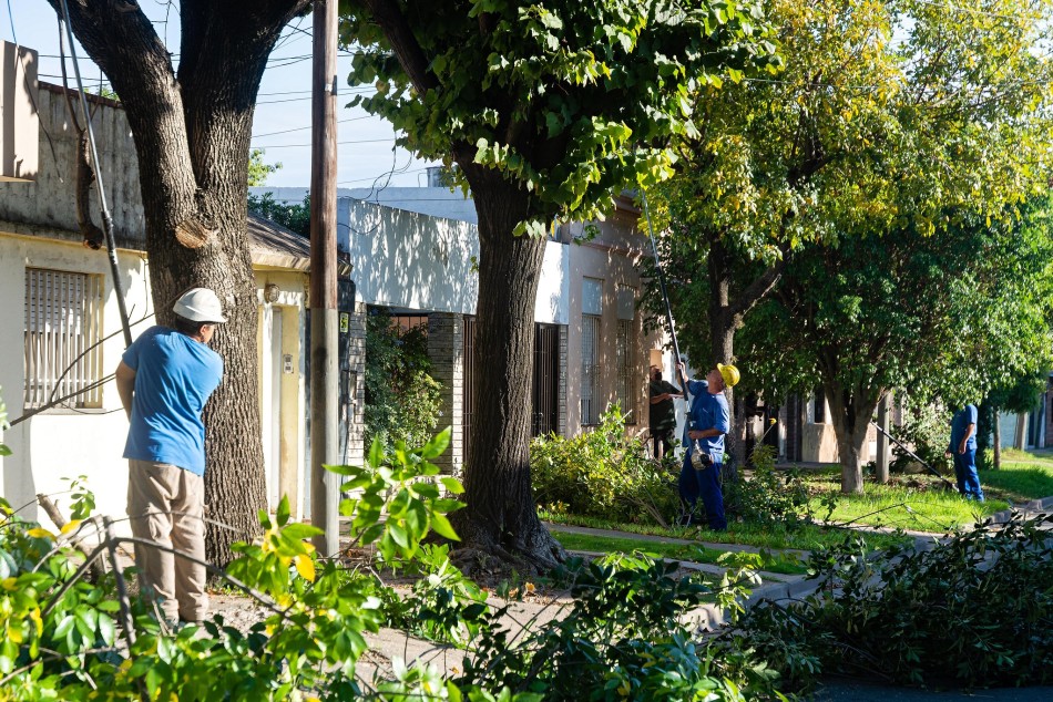 570662 | Cuadrillas del municipio realizan intervenciones de poda y escamonda - Secretaía de Ambiente y Espacio Público (Juan Pablo Allegue)
