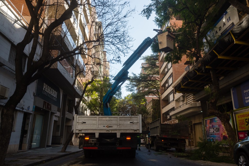 570664 | Cuadrillas del municipio realizan intervenciones de poda y escamonda - Secretaía de Ambiente y Espacio Público (Juan Pablo Allegue)