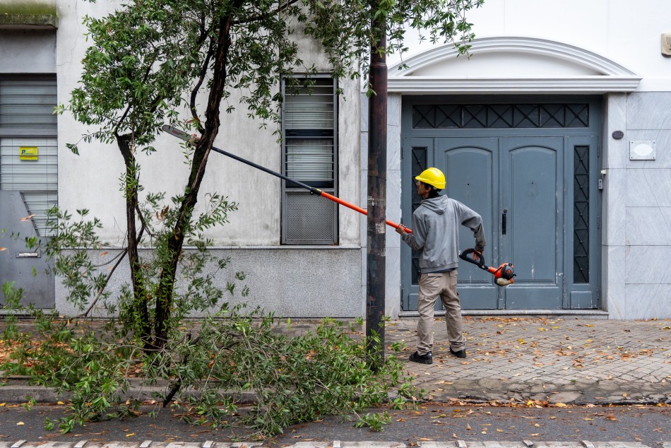 572319 | Intervenciones de poda y escamonda en San Luis al 3300 - Secretaría de Ambiente y Espacio Público (Juan Pablo Allegue)