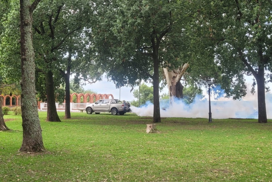 574570 |  - Municipalidad de Rosario