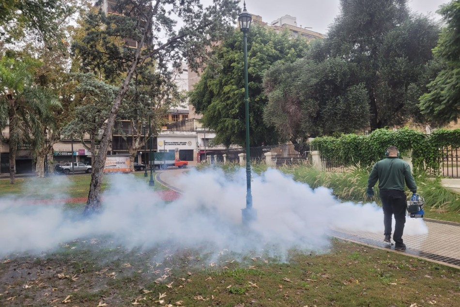 574575 |  - Municipalidad de Rosario