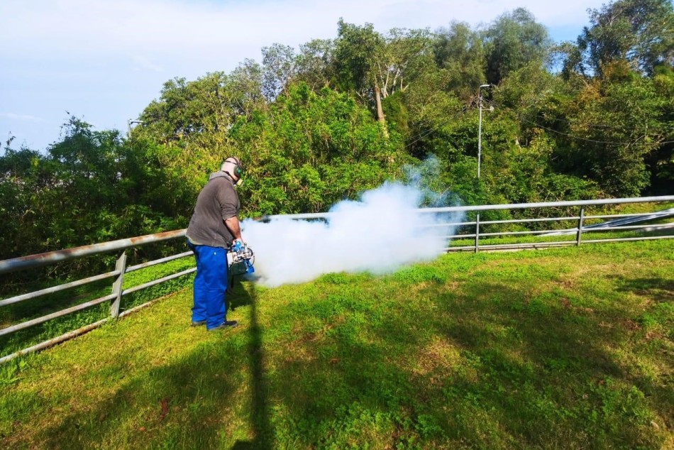 577075 |  - Municipalidad de Rosario