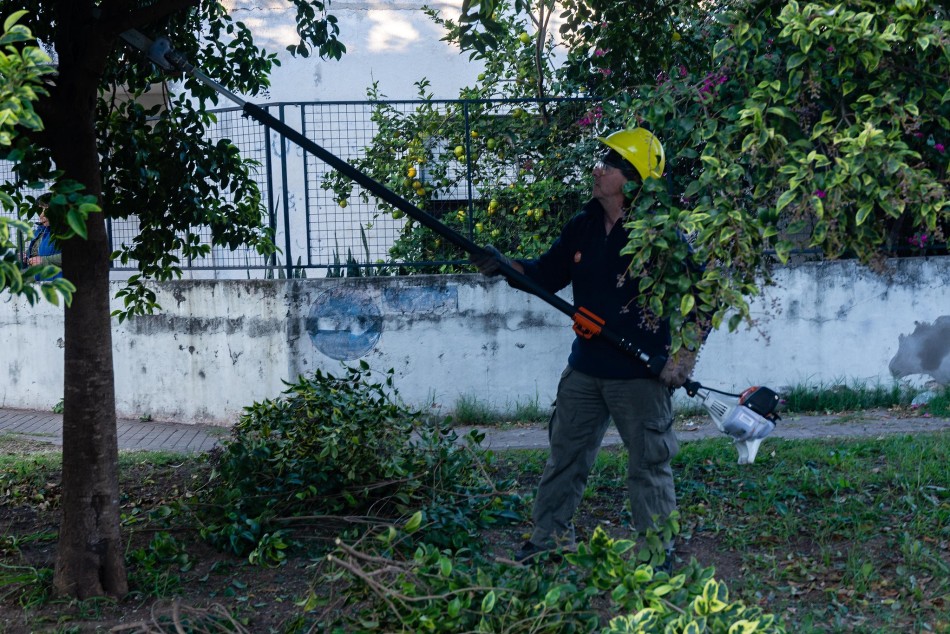 577187 |  - Municipalidad de Rosario
