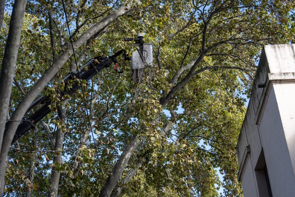577188 |  - Municipalidad de Rosario