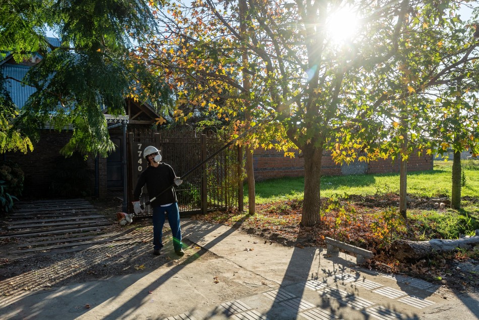 577190 |  - Municipalidad de Rosario