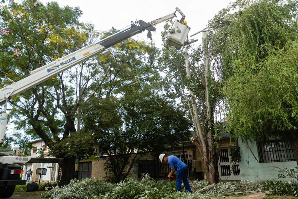 577189 |  - Municipalidad de Rosario