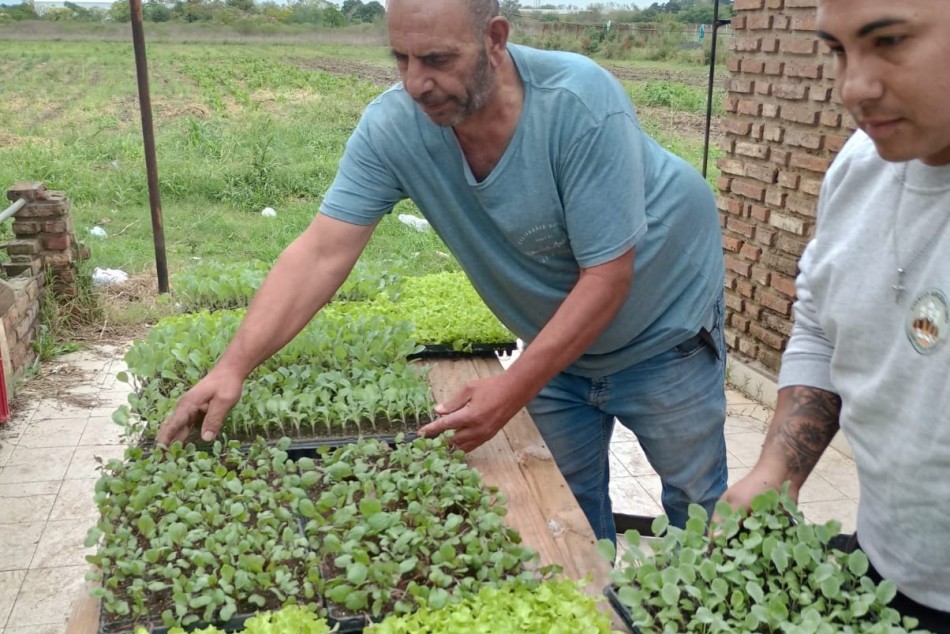 578160 | Entrega de plantines a productores del cinturón verde - Secretaría de Ambiente y Espacio Público