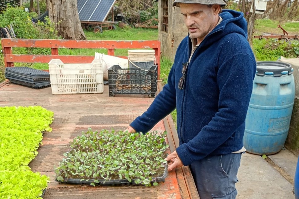 578159 | Entrega de plantines a productores del cinturón verde - Secretaría de Ambiente y Espacio Público