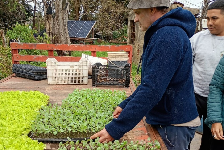 578162 | Entrega de plantines a productores del cinturón verde - Secretaría de Ambiente y Espacio Público