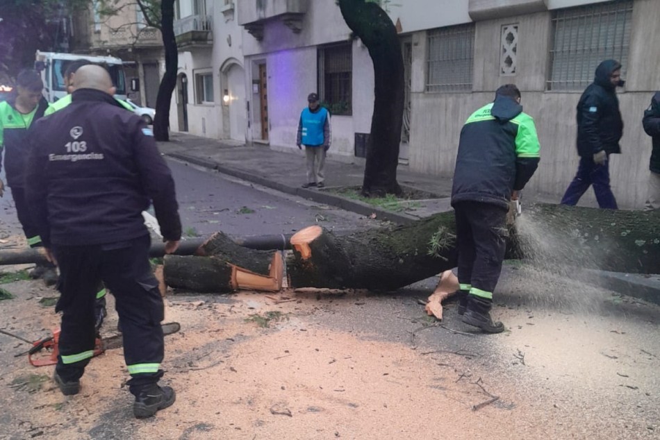 579331 |  - Municipalidad de Rosario