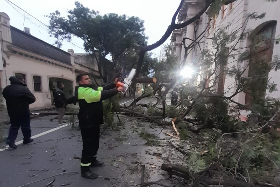 579332 |  - Municipalidad de Rosario