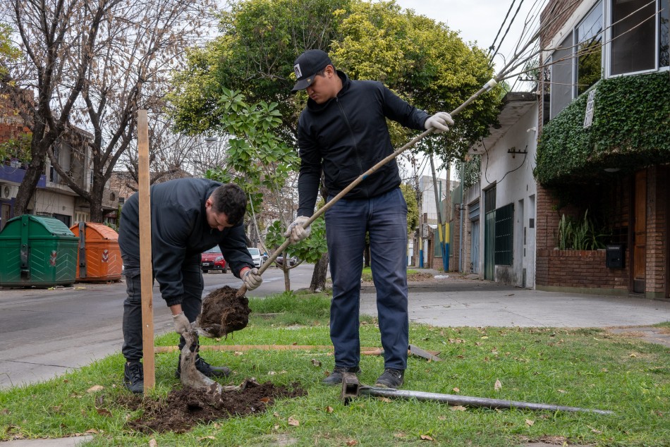 591774 | Plantación de árboles - Municipalidad de Rosario (archivo)