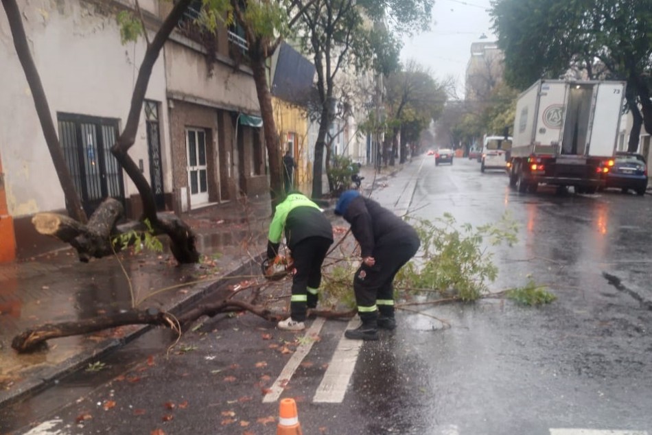 601859 | Cuadrillas municipales y equipos de emergencia trabajan atendiendo reclamos - Protección Civil (Germán Carbajales)