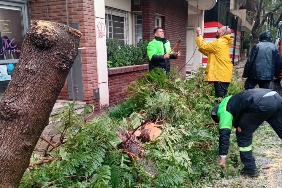 601861 | Cuadrillas municipales y equipos de emergencia trabajan atendiendo reclamos - Protección Civil (Germán Carbajales)