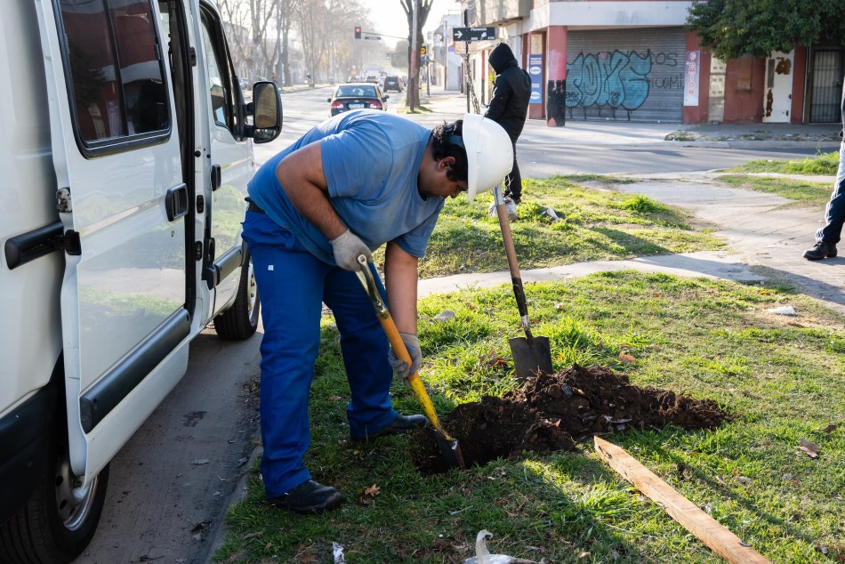 604452 | El municipio continúa con la plantación de árboles - Secretaría de Ambiente y Espacio Público (Juan Pablo Allegue)