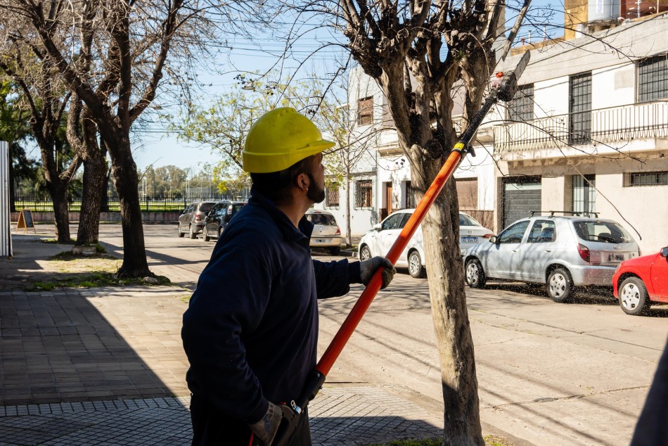 604463 | Tareas de poda y escamonda en diferentes barrios  - Secretaría de Ambiente y Espacio Público (Juan Pablo Allegue)