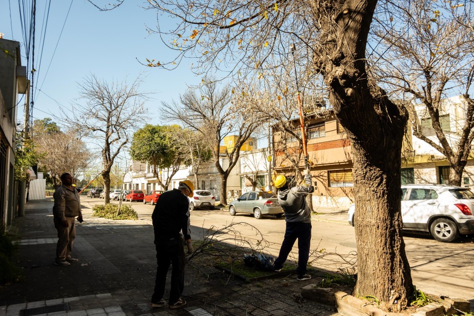 604465 | Tareas de poda y escamonda en diferentes barrios  - Secretaría de Ambiente y Espacio Público (Juan Pablo Allegue)