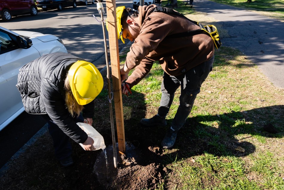 606371 | Plantación en parque en la Independencia - Secretaría de Ambiente y Espacio Público (Juan Pablo Allegue)